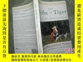二手書博民逛書店The罕見Tribe of Tiger: Cats and Th