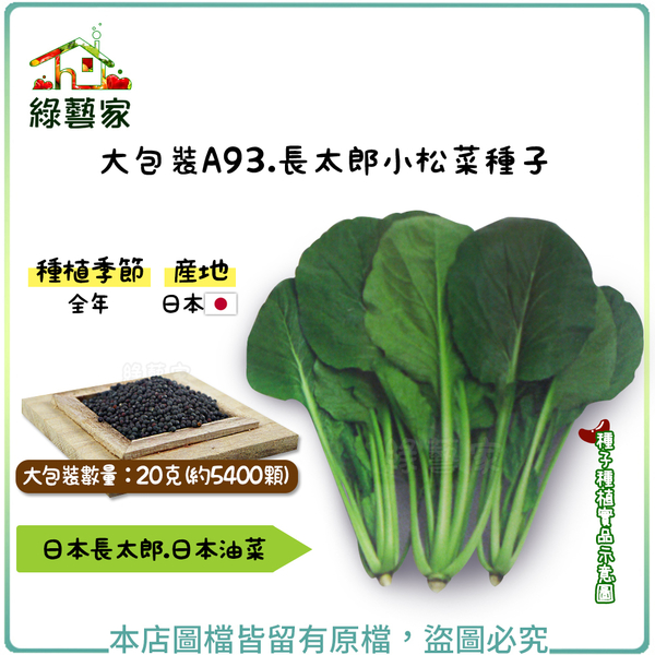 綠藝家 大包裝a93 長太郎小松菜種子克 約5400顆 盆栽園藝 Yahoo奇摩購物中心