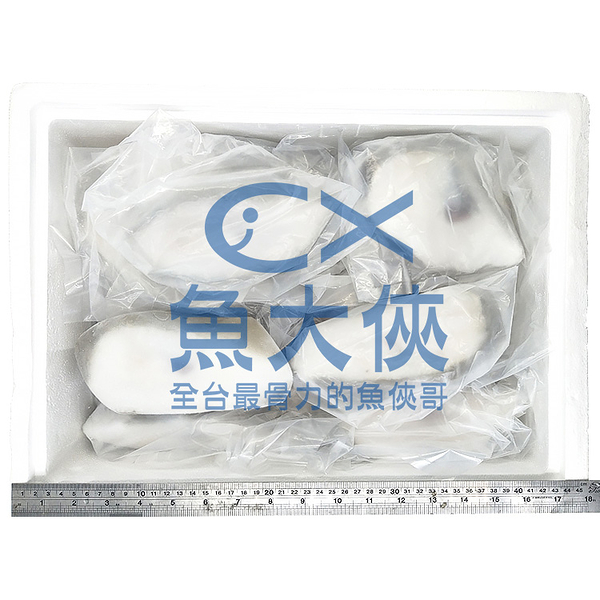 大比目魚-切片A16N整件 (半肚洞/15~16片/25%冰/5kg/件)#整件-1D6A【魚大俠】FH129