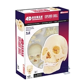 【4D Master】26086 立體拼組模型 人體解剖 教學系列 頭骨(1/2)