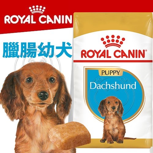 【培菓幸福寵物專營店】BHN 新皇家臘腸幼犬DSP 1.5KG (可超取)