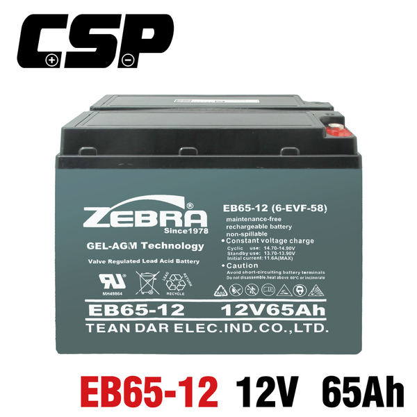 【CSP】EB65-12膠體電池12V65Ah 農地搬運車 電動沙灘車 搬運車 拖板車