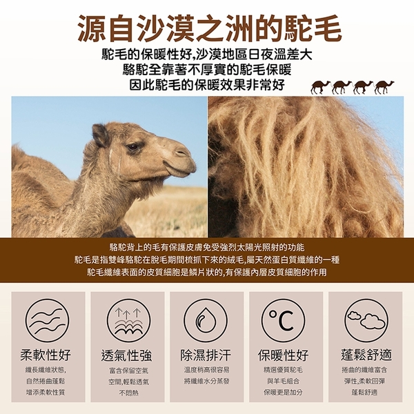 【Indian】駱駝羊毛絨被_TRP多利寶 product thumbnail 3