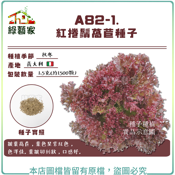 【綠藝家】A82-1.紅捲鬚萵苣種子1.5克(約1500顆)
