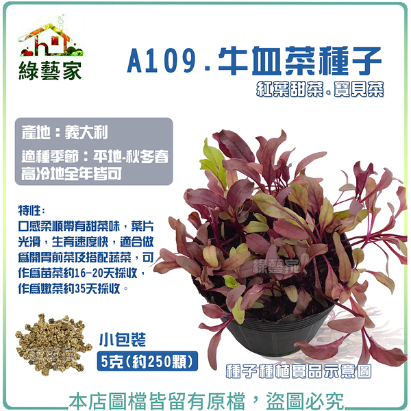 【綠藝家】A109.牛血菜種子5克(約250顆) 紅葉甜菜 寶貝菜 牛血菜 牛血菜種子 紅甜菜 種子