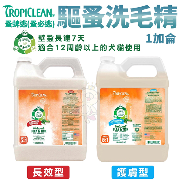 TROPICLEAN蚤蜱逃(蚤必逃) 防蚤洗毛精1加侖 長效型/護膚型 12周以上犬貓適用