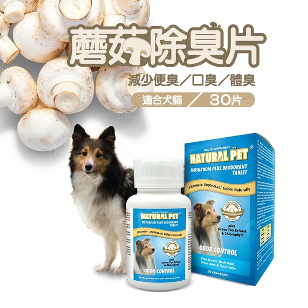 ☆御品小舖☆ NATURAL PET 蘑菇除臭片 30錠 綠茶萃取及葉綠素幫助潔牙 犬貓適用