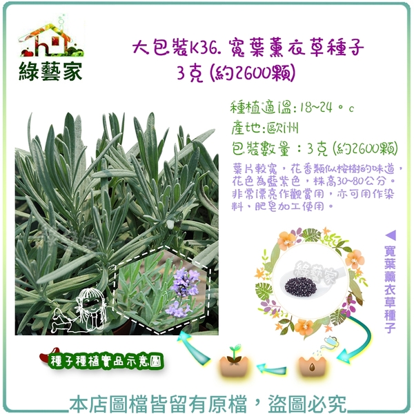 【綠藝家】大包裝K36.寬葉薰衣草種子3克(約2600顆)