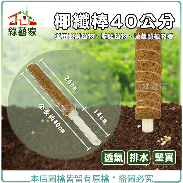 【綠藝家】椰纖棒 40公分 (可串接式) (塑膠中柱防霉)攀爬類植物.水苔棒.椰纖柱.椰棒