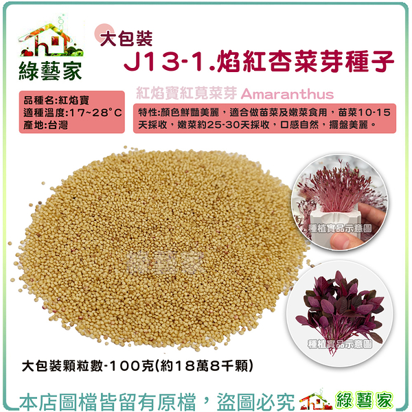 【綠藝家】大包裝J13-1.焰紅杏菜芽種子100克(約18萬8千顆)紅焰寶 顏色鮮豔美麗 適合苗菜及嫩菜食用