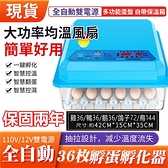 110V孵化機【現貨】36枚雙電源可接12V 全自動控溫家用型小雞孵化器 小型孵蛋器 孵化箱 孵蛋機