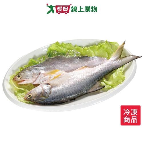 午仔魚一夜干250-300g/尾【愛買冷凍】