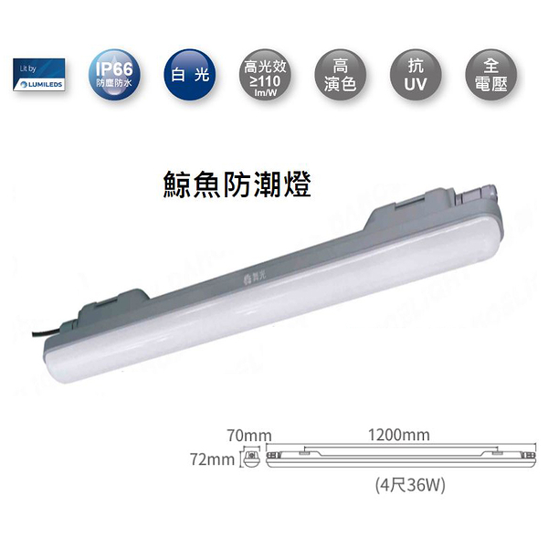 【燈王的店】舞光 LED 36W 4尺 鯨魚一體式 防潮燈 戶外 防水 IP66 白光 OD-WAJY36D