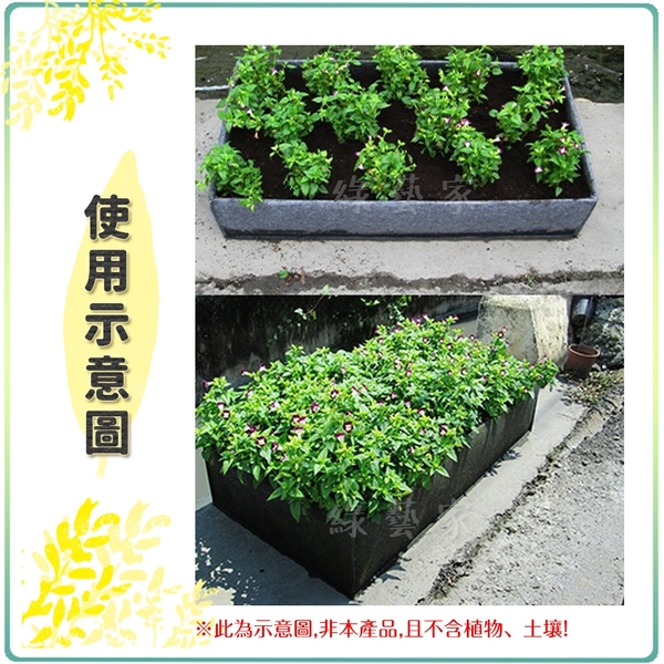 【綠藝家】正四方型不織布美植床(不織布栽培箱) product thumbnail 2