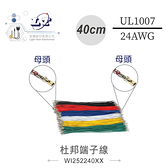 『聯騰．堃喬』雙頭母杜邦端子線 40公分 UL1007 /24AWG/11芯 白