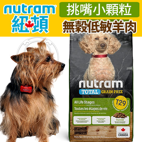 【培菓幸福寵物專營店】Nutram加拿大紐頓》T29無穀低敏羊肉挑嘴小顆粒犬糧-2kg(超取限2包)免運費