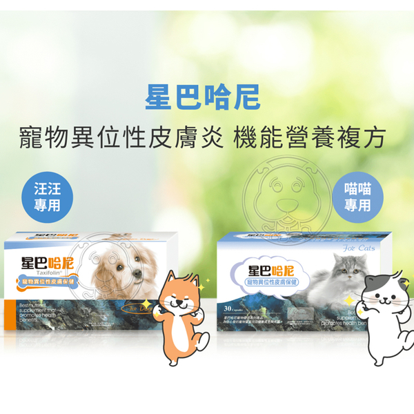 【培菓幸福寵物專營店】(免運)星巴哈尼 寵物保健第一品牌 犬貓 益生菌腸胃保健24包裝/盒 product thumbnail 7
