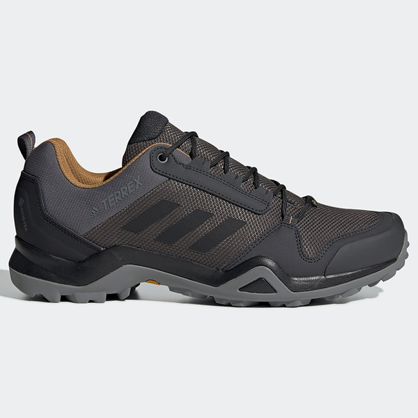 adidas terrex traxion gore tex