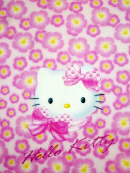 【震撼精品百貨】Hello Kitty 凱蒂貓~KITTY貼紙-IHONE5手機貼-粉花 product thumbnail 6