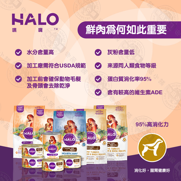 嘿囉 HALO 熟齡犬 70051 主食罐 6罐組 13oz(374g) 鮮燉雞肉 全鮮肉 狗罐 雞肉 高消化力 product thumbnail 2