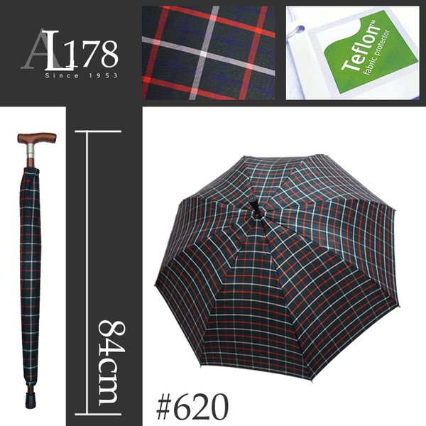 雨傘 萊登傘 兩用型 健行傘 輔助 長輩禮物 超撥水 止滑 耐用 Leotern 墨綠紅格 product thumbnail 4