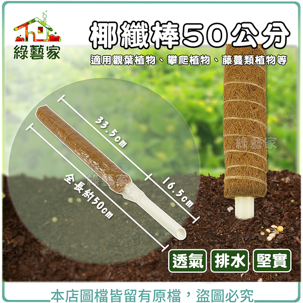 【綠藝家】椰纖棒 50公分(塑膠中柱防霉)攀爬類植物.水苔棒.椰纖柱.椰棒