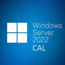 微軟 Windows Server CAL 2022 1pk DSP OEI 5 Clt Device CAL 中文隨機版