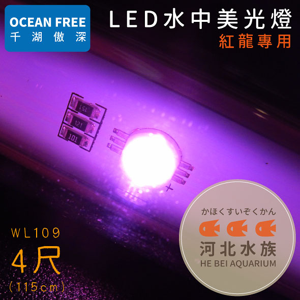 河北水族 Of傲深 Led水中美光燈紅龍4尺115cm Wl109 Led水中燈水中led燈四尺 Yahoo奇摩超級商城 Line購物