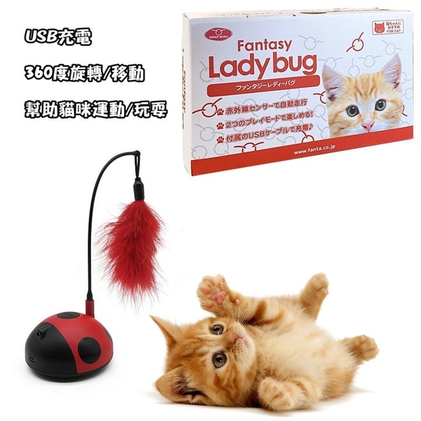 瓢蟲逗貓玩具 USB充電 360度旋轉 移動式 逗貓棒 貓咪玩具 動物羽毛 訓練用品 貓咪玩具 逗貓棒 product thumbnail 2