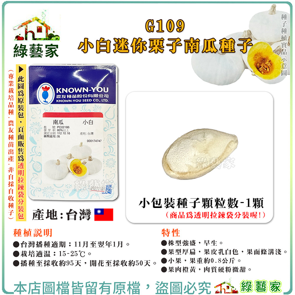 【綠藝家】G109.小白迷你栗子南瓜種子1顆 早生貝貝南瓜，結果性強，白皮小果之西洋南瓜 果肉橙