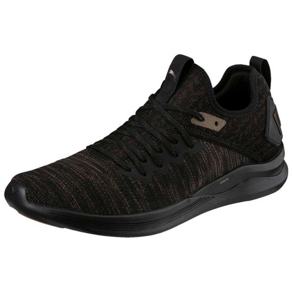 PUMA IGNITE FLASH EVOKNIT DESERT -男款 