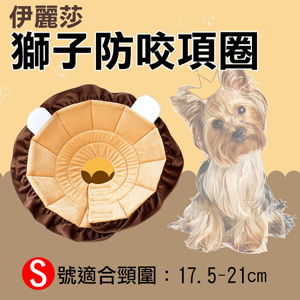 鼎鴻 伊莉莎白防咬項圈-獅子款 S號 小型犬 防抓咬舔 安全耐用方便舒適寵物美容脖子頭套