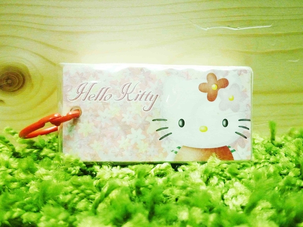 【震撼精品百貨】Hello Kitty 凱蒂貓~便條紙-生字簿【共1款】