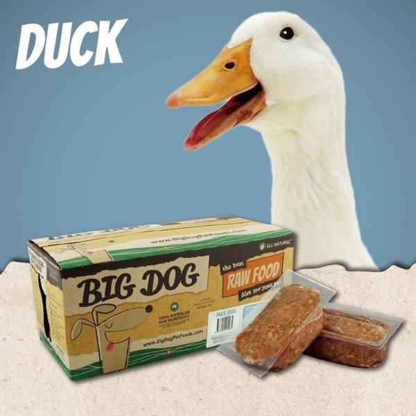 【2盒免運組】(1盒12片入)澳洲BIG DOG(BARF)巴夫《犬用生食肉餅-雞肉口味》//冷凍配送