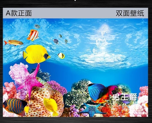 魚缸背景紙畫高清圖3d立體魚缸壁紙背景畫雙面水族箱裝飾魚缸貼紙xw