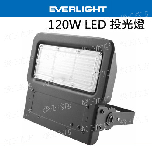 【燈王的店】億光 星宇 戶外防水 led 120w 投射燈 全電壓 (黃光/白光) fap-120w