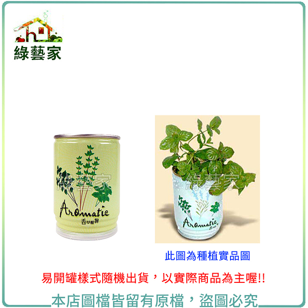 【綠藝家】iPlant易開罐花卉-薄荷