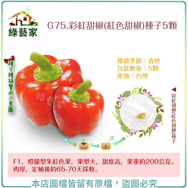【綠藝家】G75.彩紅甜椒(紅色甜椒)種子5顆