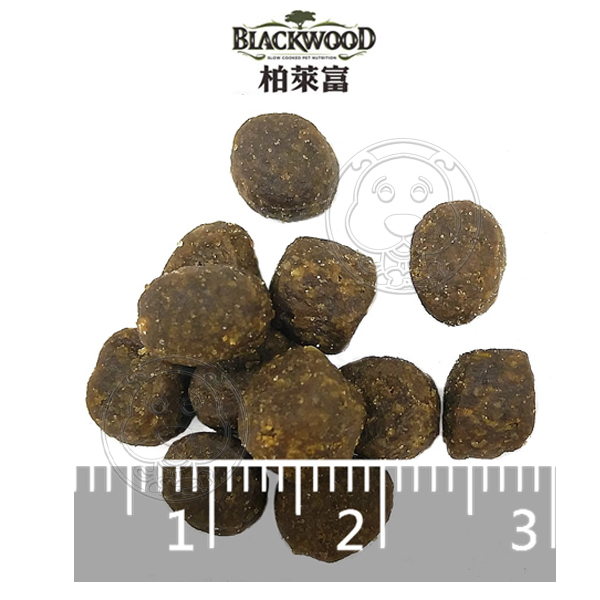 【培菓幸福寵物專營店】【Blackwood 柏萊富】Bounty 棒吉系列 貓飼料 本能覺醒 5種肉300g product thumbnail 3