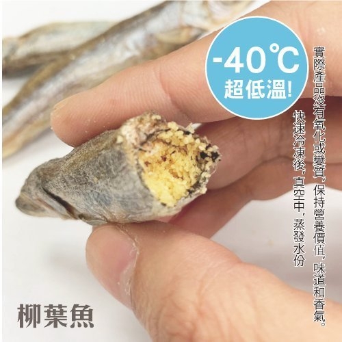 寵鮮食《冷凍熟成犬貓零食-柳葉魚40g》 可常溫保存 無其他添加物 凍乾零食 product thumbnail 3