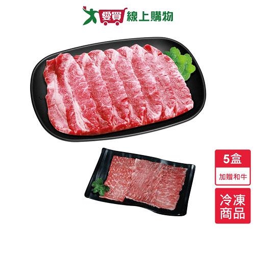 美國牛雪花火鍋片5盒/組贈日本和牛火鍋肉片/盒(100G/盒)【愛買冷凍】