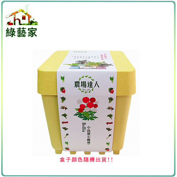 【綠藝家】iPlant小農場系列-小品菊