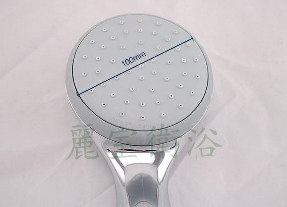 【麗室衛浴】德國 GROHE TEMPESTA 100 28422002 二段式手持式蓮蓬頭 F-740-4 product image 2