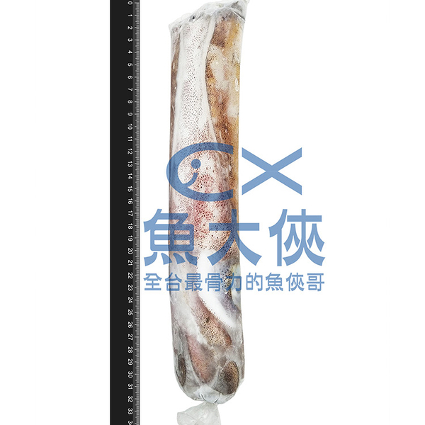 大規格-菲律賓軟絲(500g/尾)-1C7A【魚大俠】SD011