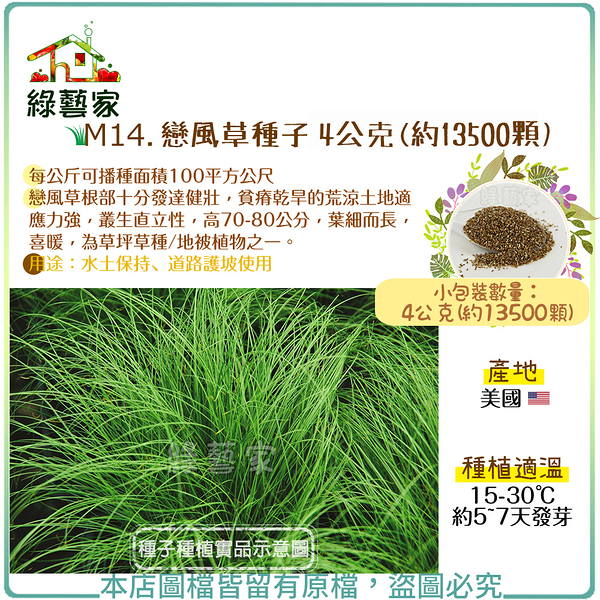 【綠藝家】M14.戀風草(垂愛草)種子4公克(約13500顆)