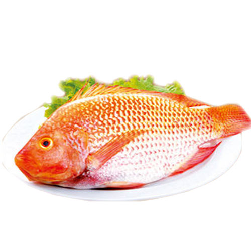 台灣嚴選尼羅紅魚1尾(500~600g/尾)【愛買冷凍】 product thumbnail 2