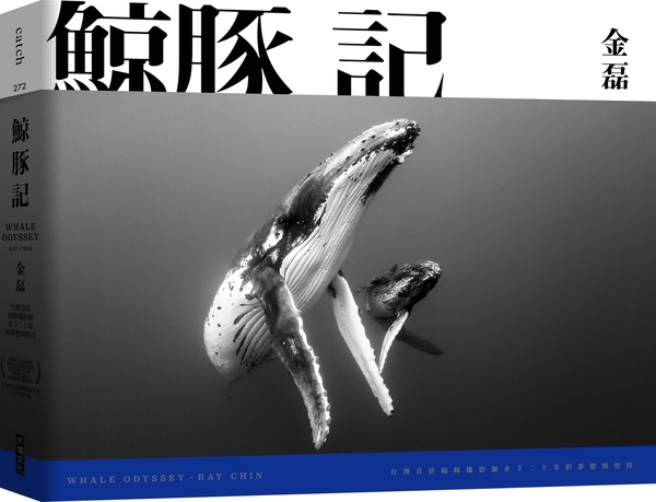 鯨豚記︰台灣首位鯨豚攝影師水下20年的夢想與堅持