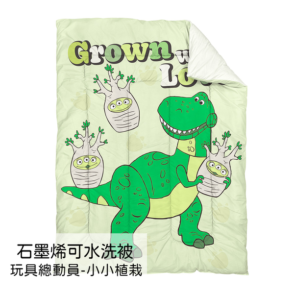 戀家小舖 抱抱龍-小小植栽 石墨烯棉被 抗寒冬被 迪士尼 可水洗 product thumbnail 2