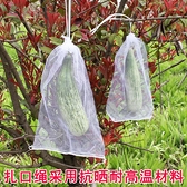 水果葡萄套袋防蟲防鳥白色紗網袋子透氣防果蠅套樹苗枇杷果樹網袋 世界工廠