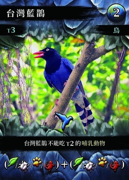 『高雄龐奇桌遊』 諾亞星球 KTIZO 繁體中文版 正版桌上遊戲專賣店 product thumbnail 7